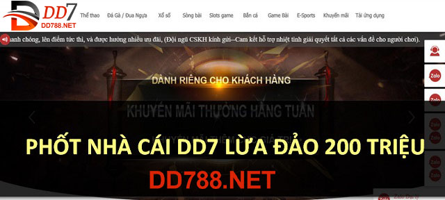 DD7 lừa đảo là không đúng